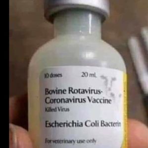 Meet your Posher, BeltrÃ n